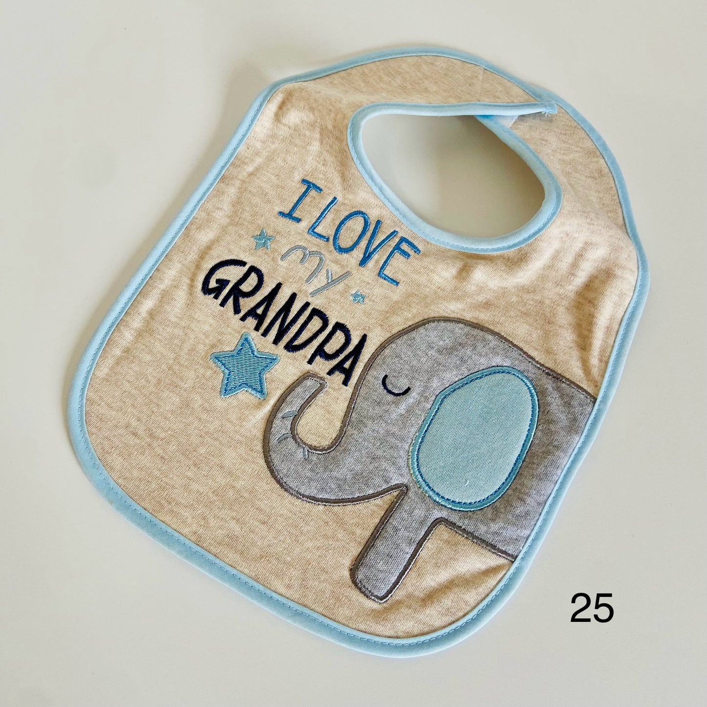 Family Love & Fun Bibs