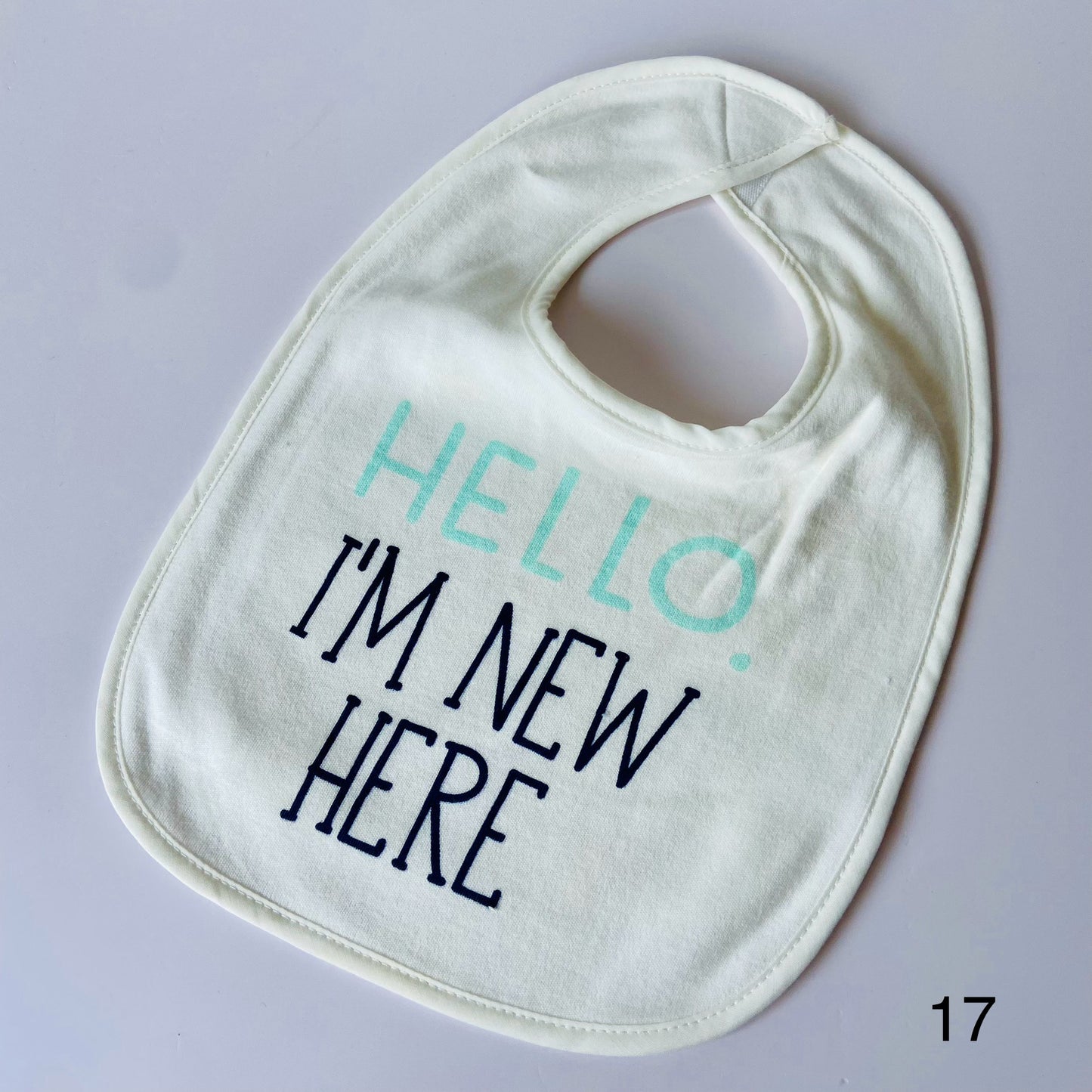 Family Love & Fun Bibs